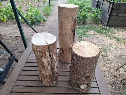 Decorazione legno artigianale - legno,