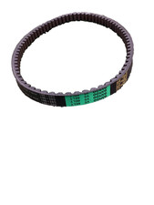 Cinghia Trasmissione 1000 Km