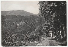 CAMPIGNA - FORLI' - VIALE DEL