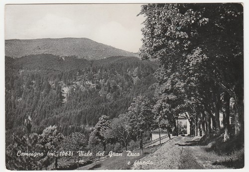 Campigna forli viale del - viale,