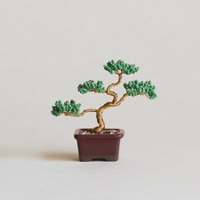 Nejitte bonsai kit artigianale - nejitte,