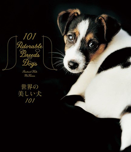 101 beautiful dogs - beautiful, of