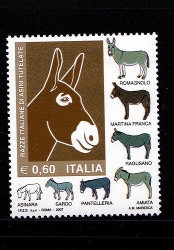 Razze italiane asini - razze, di