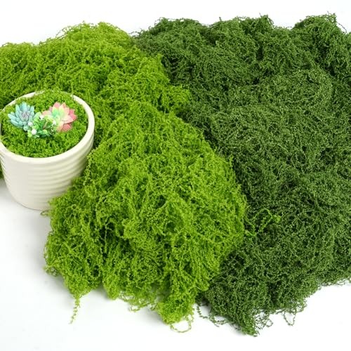 Offcup 100g muschio - 100g,