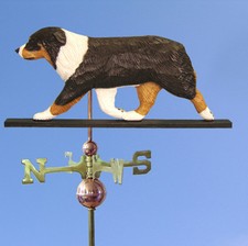 Australiano Shepherd