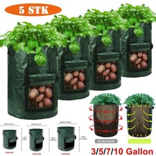 5 sacchetti per piante di