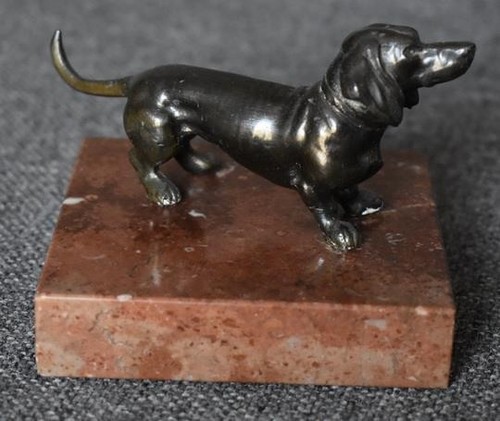 Bellissimo bassotto bronzo - bassotto,