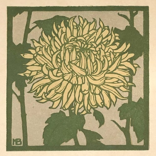 Max bucherer - max,
