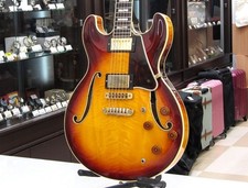 Aria ProII TA1200 chitarra