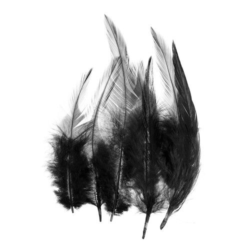 Plumas gallo de silla - gallo,