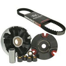 Variatore variatore NARAKU