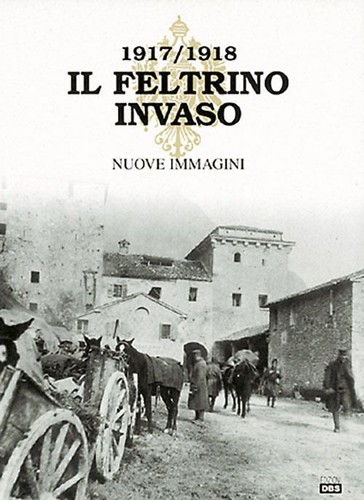 Libri feltrino invaso - libri,