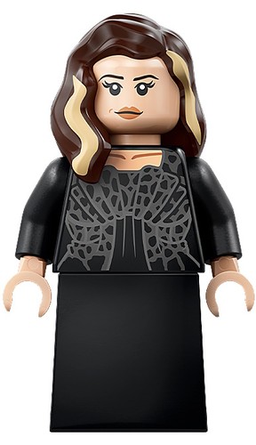 Lego minifigure harry - -,