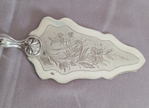 Coltello paletta per torta - /,