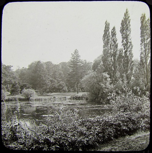 Glass magic lantern slide - lantern,