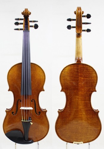 Strings violin violino - 5,