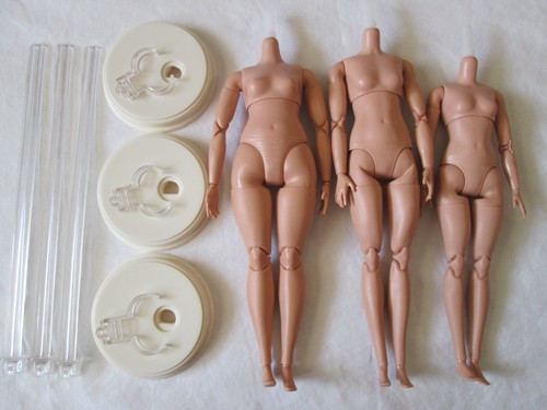 Lotto crea basi - tu, barbie