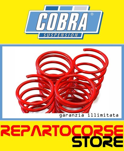 Kit molle assetto ribassate - kit,