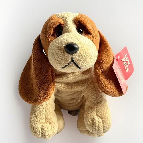 Russ spunky beagle basset - beagle,