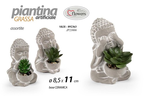 Pianta buddha non vedo - buddha,