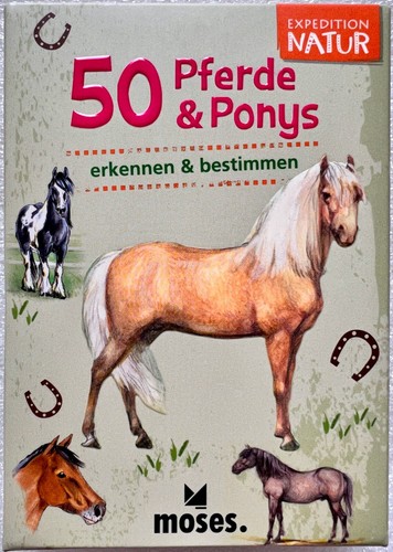 Cavalli pony expedition - cavalli,