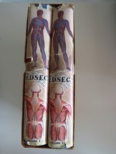 Enciclopedia medica per le