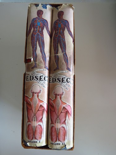 Enciclopedia medica per - , le
