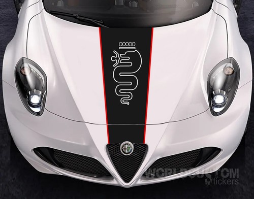 Fascia adesiva cofano auto - fascia,