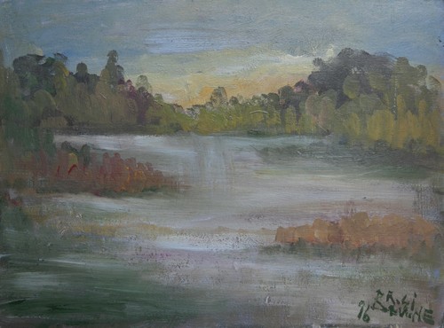 Impressione bordo lago - lago,