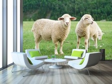 3D Prärie Schaf Q5784 Tier