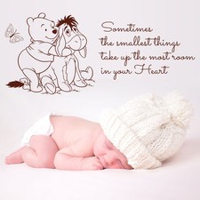Winnie The Pooh Muro