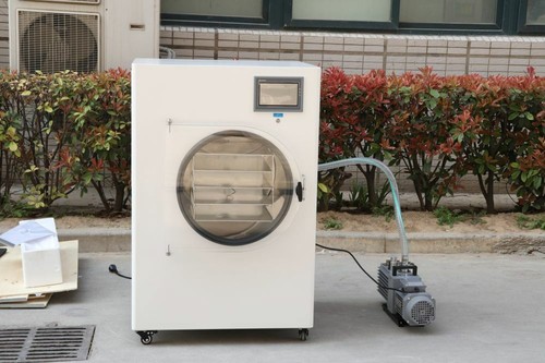 Liofilizzatore sottovuoto - liofilizzatore,