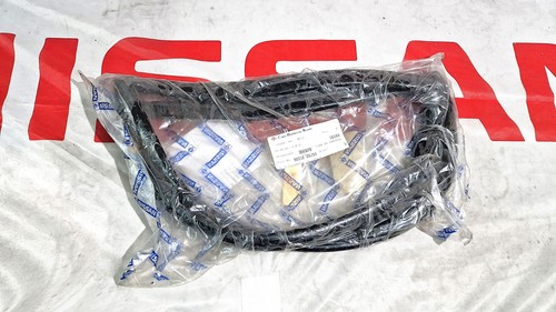Glass tailgate gasket - glass, dx
