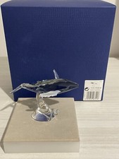 Swarovski SCS Paikea Annual