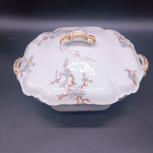 Haviland limoges piatto - limoges,