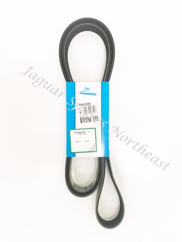 Cintura trasmissione jaguar - cintura,