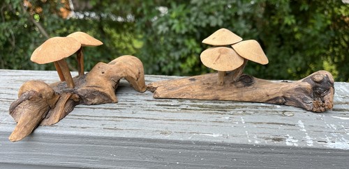 Roger sloan fungo - sloan, legno