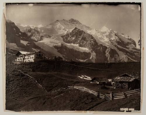 Adolphe braun suisse - braun,, suisse,