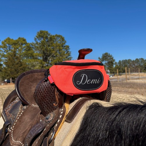 Personalized horse saddle bag - horse,