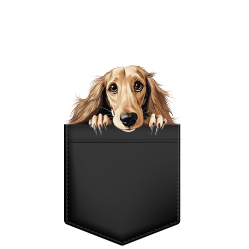 Dolce cane borsa - in, adesivo