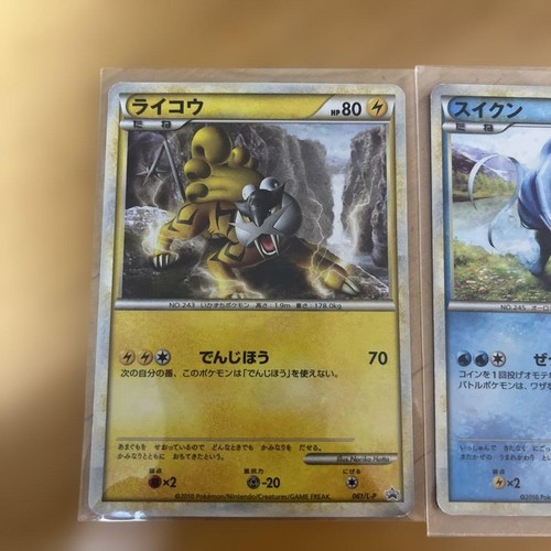 Pokemon entei suicune - pokemon, raikou