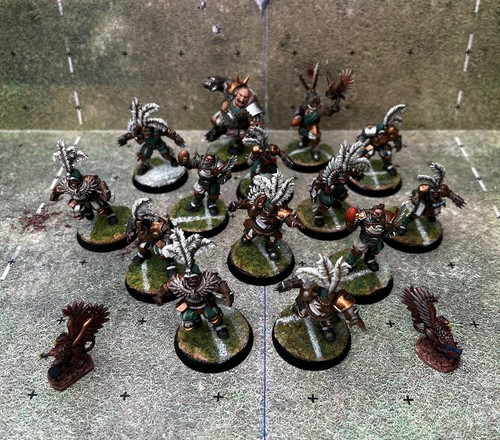 Squadra ciotola sangue