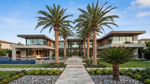 Phoenix canariensis pineapple - phoenix, canariensis(pineapple