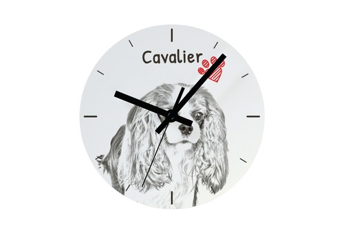 Cavalier king charles spaniel - king,