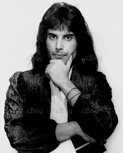 Stampa fotografica freddie - stampa,