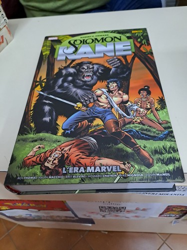 Solomon kane marvel - solomon, omnibus