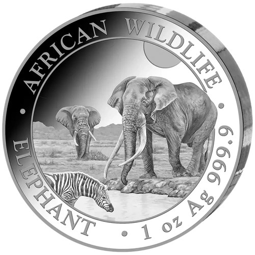 Moneta argento elefante fauna - argento,