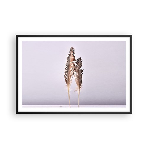 Poster 91x61cm due - due, piume