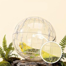 Palla per esercizi per