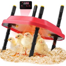 Piastra termica pulcini 25 x